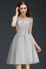 A line Round Neck Tulle Lace Mini Bridesmaid Dress with Appliques Lace