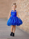 Beautiful Ball Gown Scoop Neck Tulle Appliques Lace Short/Mini Different Flower Girl Dresses