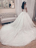 Elegant Ball Gown Illusion Tulle Court Train Wedding Dresses With Appliques Lace